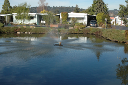 Site of former Camp Evers marsh, Scotts Valley (Santa Cruz County in 2005). Photo © Dean W. Taylor. Site of former Camp Evers marsh, Scotts Valley (Santa Cruz County in 2005). Photo © Dean W. Taylor.